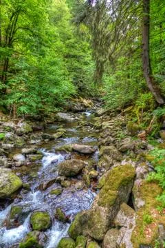 Torrent Stock Photos