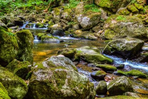 Torrent Stock Photos