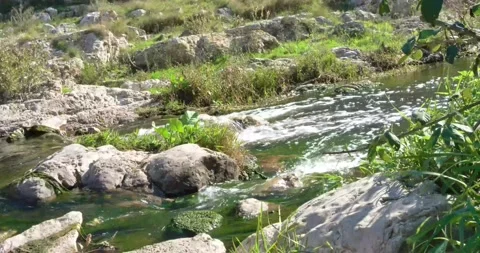 Torrente Gravina - time lapse Stock Footage 142428728