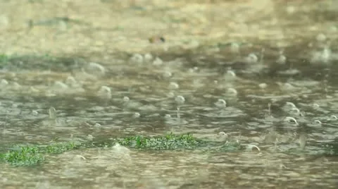 Torrential Rain Stock-Footage 22326239