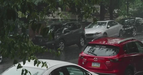 Torrential rain on tree-lined street Stock-Footage 245233177