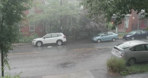 Torrential rain on tree-lined street 3 with pedestrian Stock-Footage 245233189