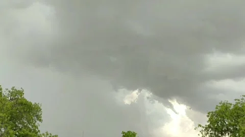 Torrential raining cloudscape beautiful view with tree branches Stock Footage 133880786
