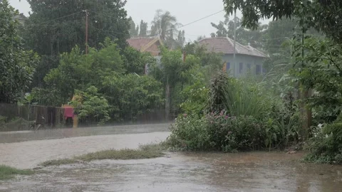 Torrential rains falling on small road  during the rainy season Stock Footage 160701977