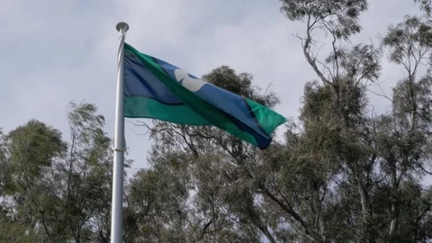Torres Strait Islander Flag Waving in the Breeze Stock Footage 316370871