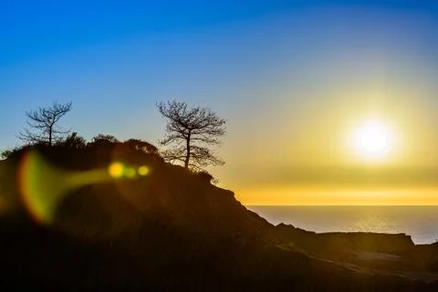 Torrey pine sunset Stock Photos