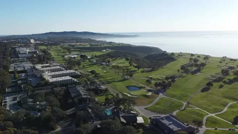 Torrey Pines Stock Footage 172120880