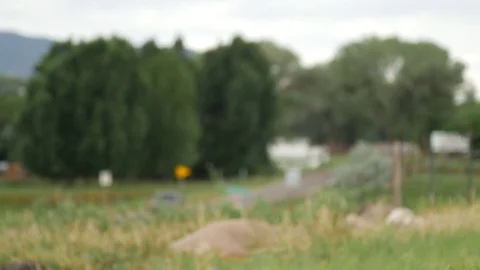 Torrey road rack focus 1 Stock Footage 72994431