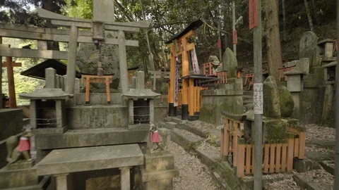 Torri gate of shrines Stock Footage 94504552