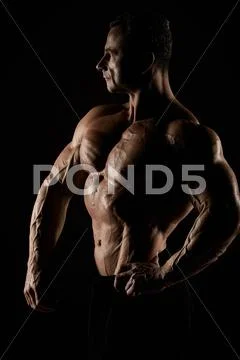 Torso of attractive male body builder on black background. Stock Image ...