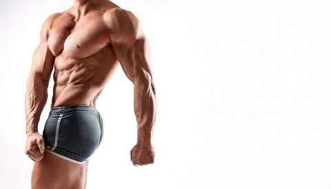 Torso or trunk is an anatomical term for the central part, or the core, of .. Stock Photos