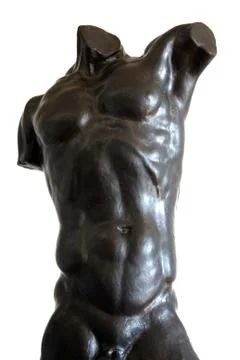 Torso Stock Photos