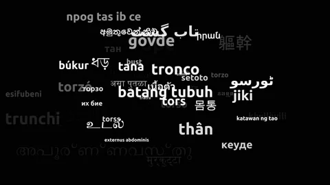 Torso Translated in 56 Worldwide Languages Endless Looping 3d Zooming Wordclo Stock Footage 145194013
