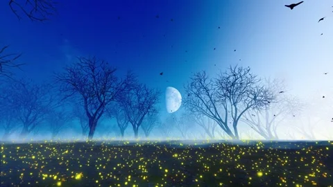 Tort on the dark terror forest of the fireflies flying Stock Footage 288076805