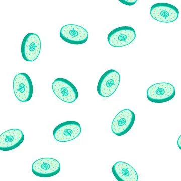 Tortilla spinach isometric icon seamless pattern Stock Illustration