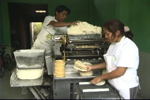 Tortillera 4 動画素材 10973110