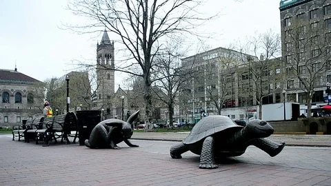 Tortoise and Hare sculpture on Copley Square, Boston, Massachusetts, USA. Stock Footage 71692453