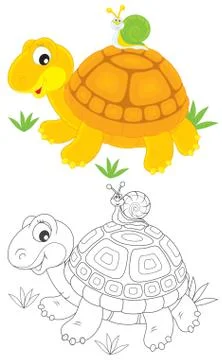 Tortoise and snail Stock Illustration