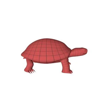 Tortoise base mesh 3D Model