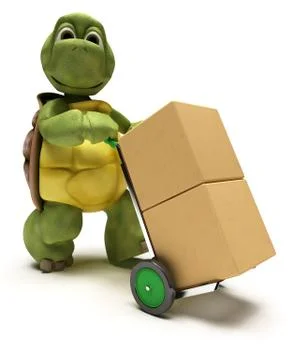 Tortoise with boxes for shipping Illustrazione stock