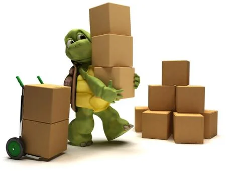 Tortoise with boxes for shipping Stock Illustration