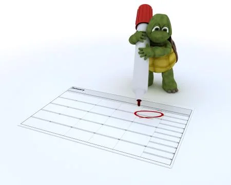 Tortoise with a calendar Stock Illustration