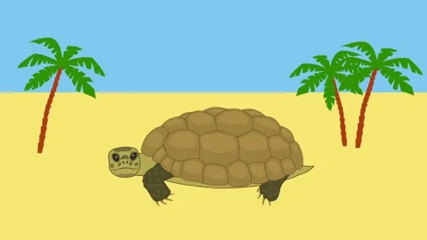 Tortoise Cartoon Vídeo Stock 111157638