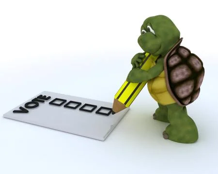 Tortoise casting a vote in election Stock-Illustration