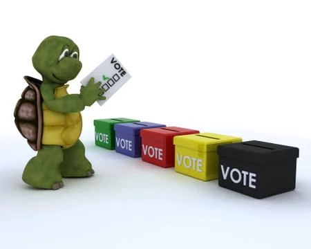 Tortoise casting a vote in election Stock Illustration