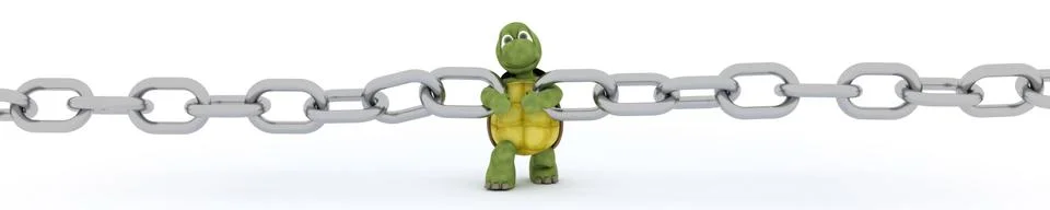 Tortoise with a chain Stock Illustration