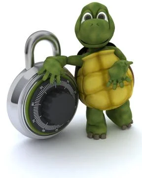 Tortoise with combination padloack Stock Illustration