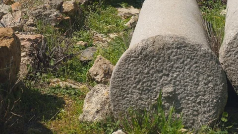 Tortoise crawling green grass ancient greek column ruins Stock Footage 108041401
