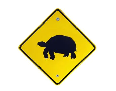 Tortoise crossing Stock Photos