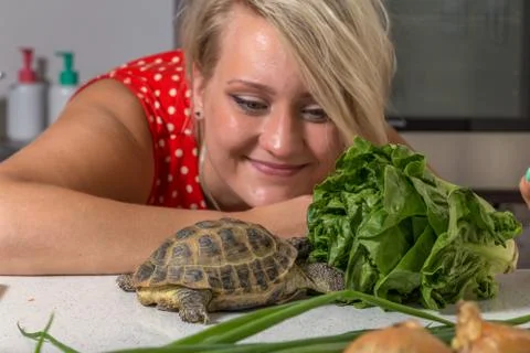 Tortoise eating roman salad while young woman looks at him Foto stock
