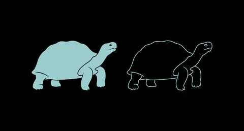 Tortoise graphic design in solid light blue and outline styles with black Stock Illustration