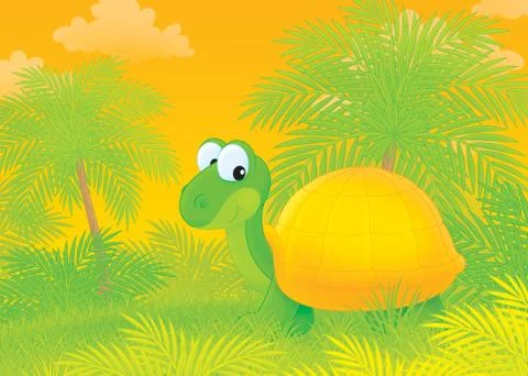 Tortoise Stock Illustration