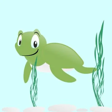 Tortoise Stock Illustration