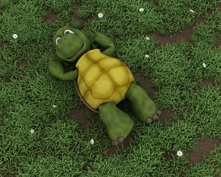 Tortoise lying on grass in flowers Stock Illustration