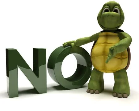 Tortoise with no sign Stock Illustration