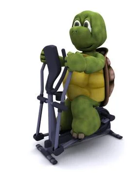Tortoise runnning on a cross trainer Stock Illustration