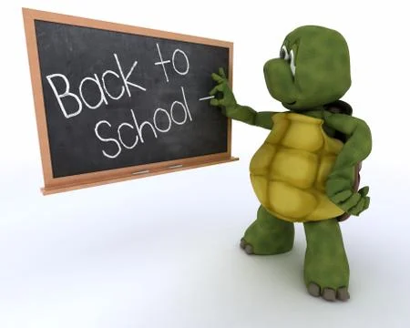 Tortoise with school chalk board back to school Stock Illustration