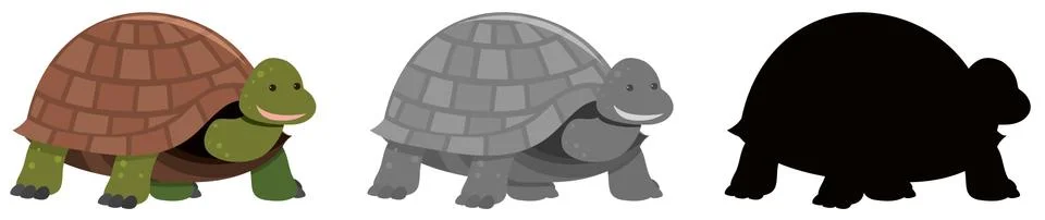 Tortoise set of different variations 스톡 일러스트