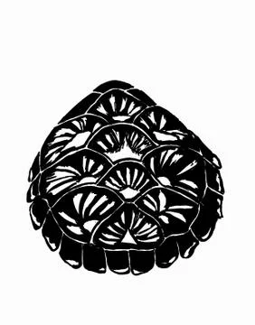 Tortoise shell Illustrazione stock