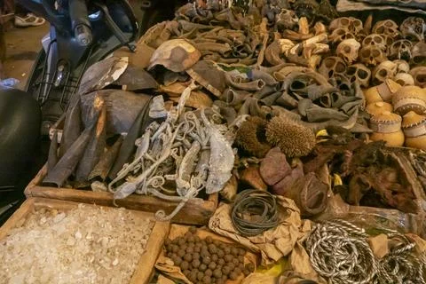 Tortoise shells dried reptiles and salt are displayed at a fetish market st.. Stock Photos