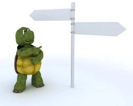 Tortoise with sign post Stock-Illustration