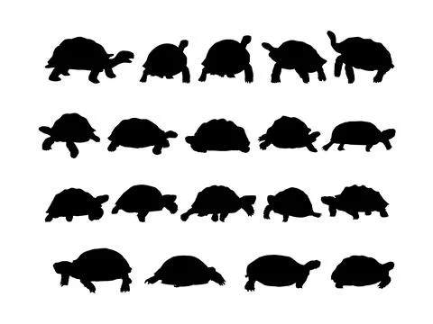 Tortoise Silhouette Collection Set Illustrazione stock