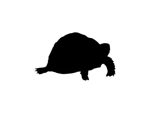 Tortoise Silhouette Isolated Stock Illustration