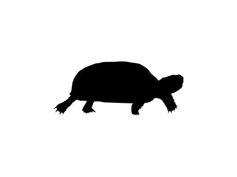 Tortoise Silhouette Isolated Stock Illustration