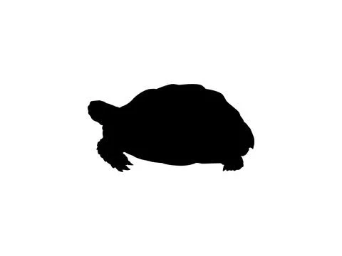 Tortoise Silhouette Isolated Stock Illustration