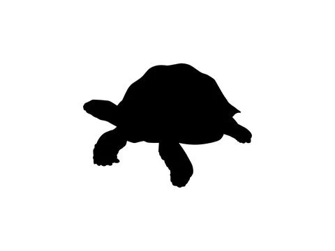 Tortoise Silhouette Isolated Stock Illustration